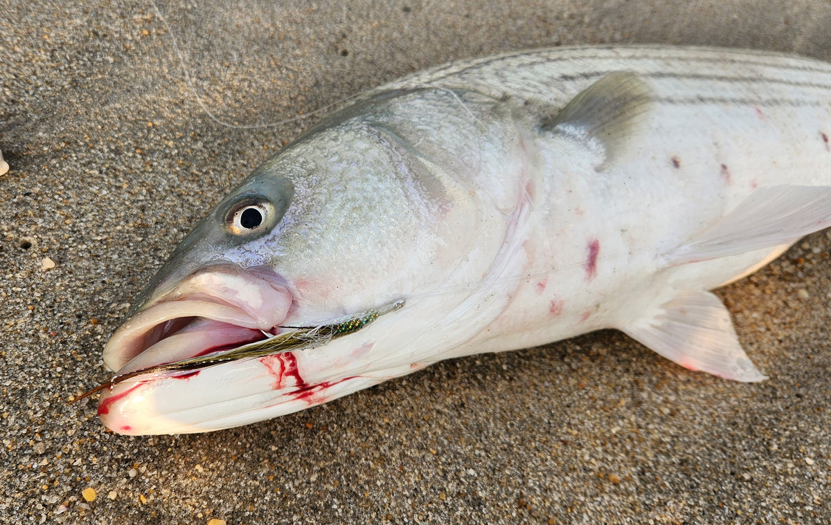 Sand eel teasers on Mustad 6/0 hook.